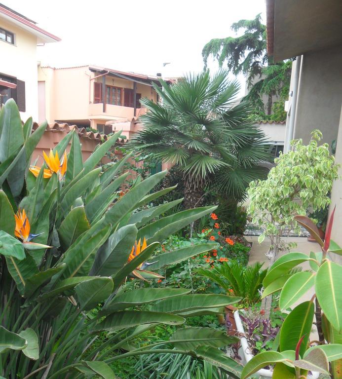 B&B Il Dodo Monastir Ngoại thất bức ảnh